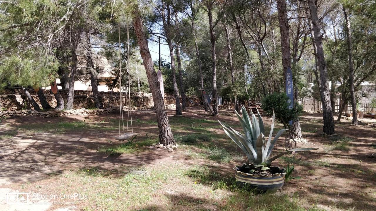 Villa Casa Beja à San Francisco Javier Extérieur photo
